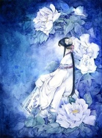 贅婿