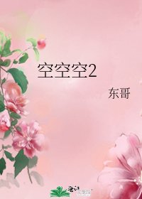 空空空2